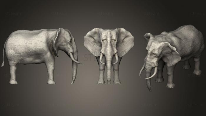 Статуэтки животных Слон (2)